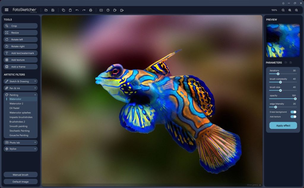 FotoSketcher Studio screenshot 1