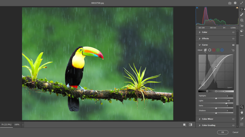 adobe photoshop camera raw 8.5 download